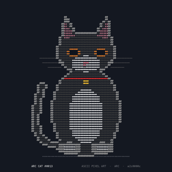 ARC Cat #13