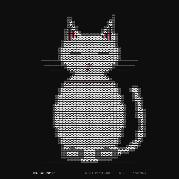 ARC Cat #37